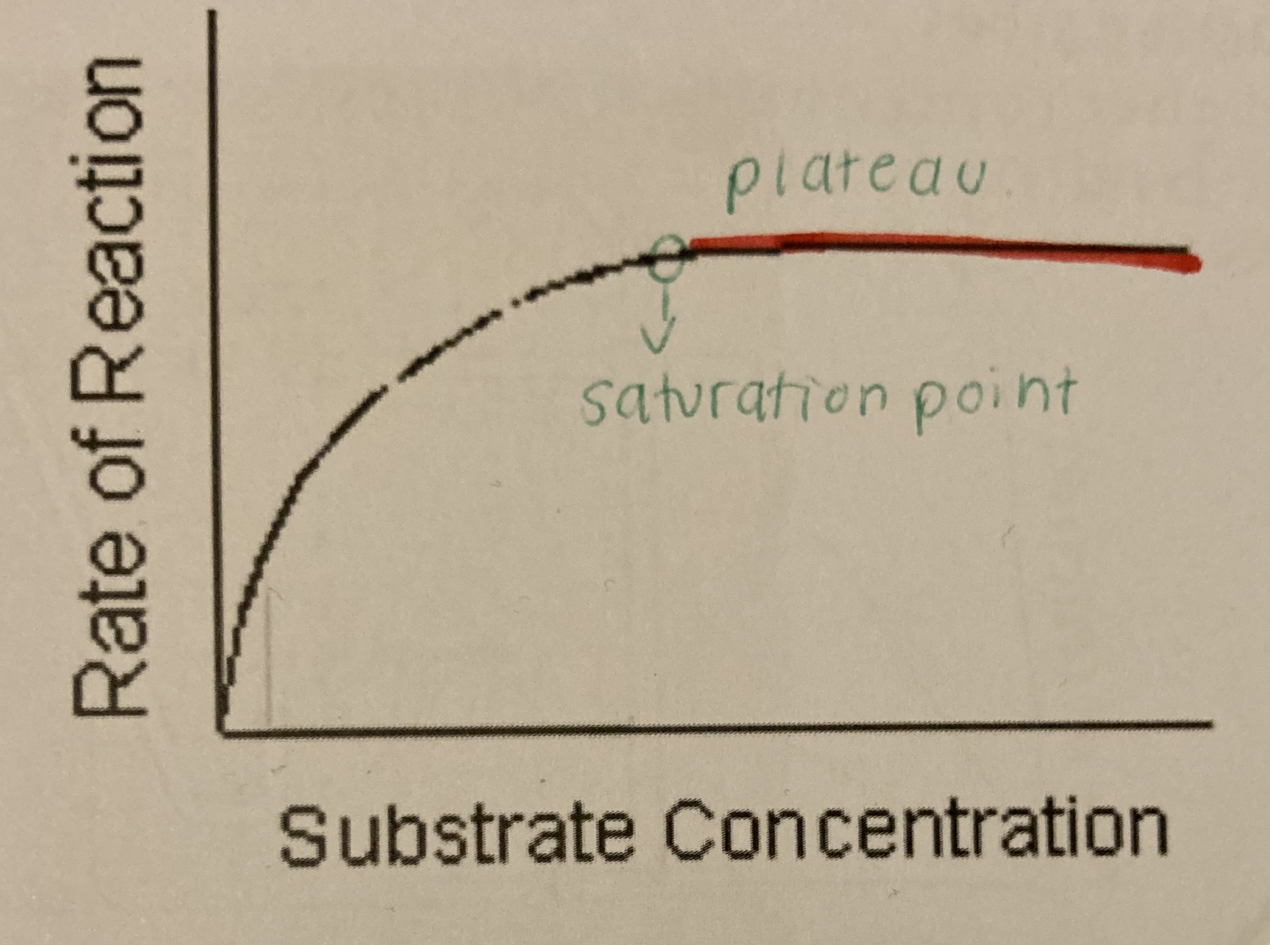 <p>increasing substrate concentration increases the rate of reaction low substrate concentration = enzymes have limited amounts of substrates to collide with, the active sites are not working at their full capacity more substrates = active sites are becoming filled up and are working as fast as they can until it reaches its saturation point and the excess substrate no longer effects the rate of reaction as the active sites are all occupied</p>