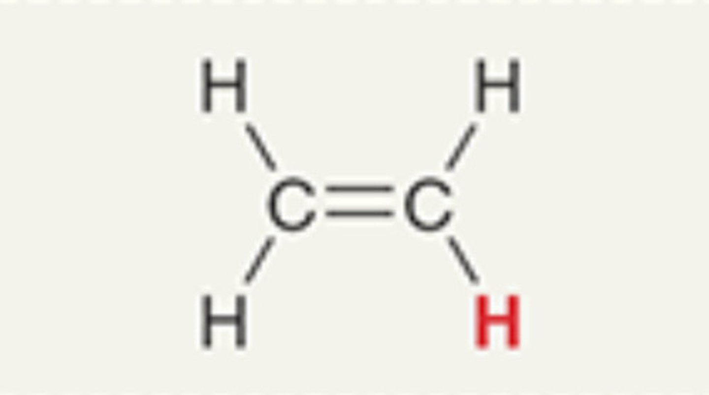 <p>Alkene</p>