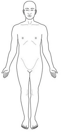 <p>Anatomical Position</p>