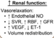 <p>Increases renal function</p>