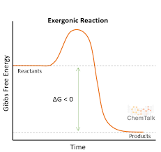 <p>negative ∆<em>G (LOSE ENERGY)</em></p><p>releases free energy</p><p>is catabolic; breaks down</p>
