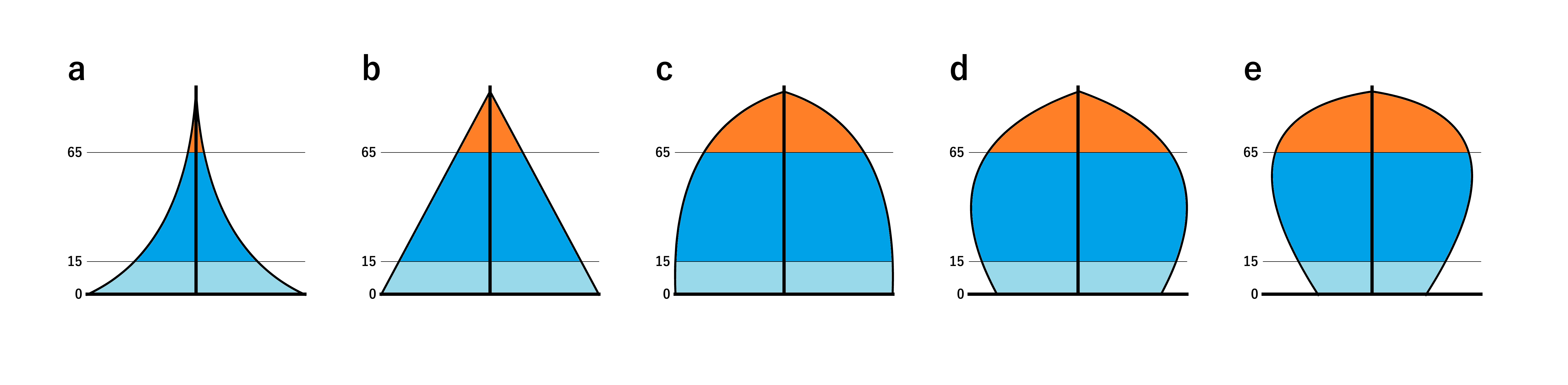 a graphic device that shows gender and age and gender distribution of a population
