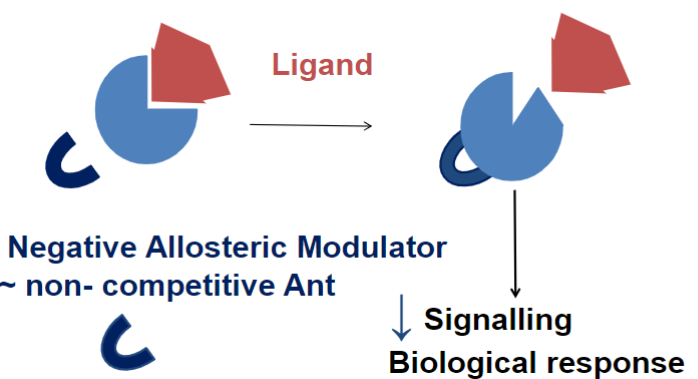 <ul><li><p>impede the action of endogenous and other compounds at diff site of action</p></li><li><p>ex: β-carboline</p></li></ul>