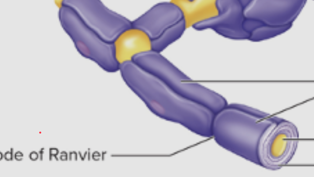 <p>What is this?</p>