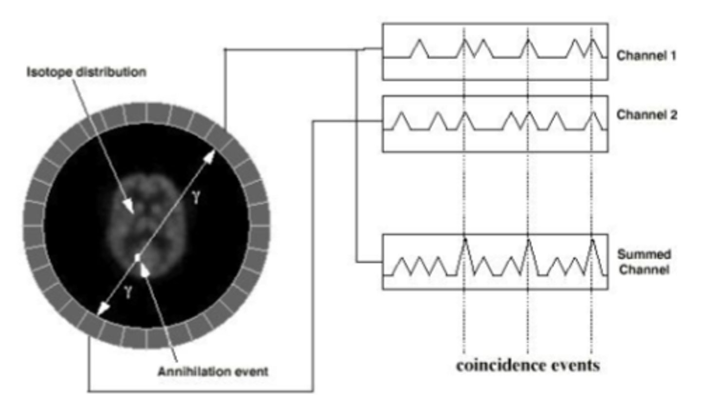 <p>The annihilation event, observed by the detectors at the same time (coincidence), produces the image.</p>
