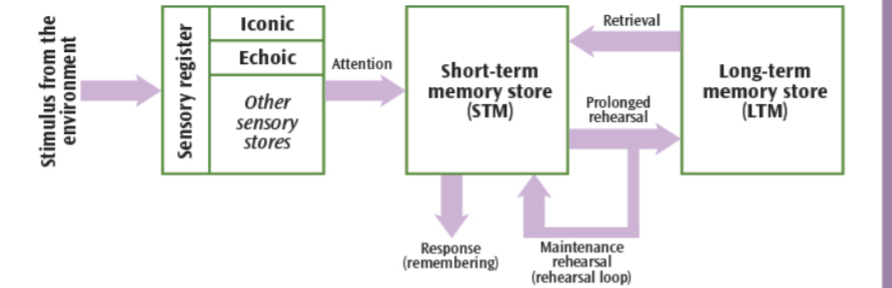 <p>talk about coding, capacity and duration</p>