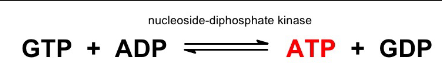 <p>The energy released when ATP or GTP id hydrolysed to ADP is identical (∆G = -30.5 KJ/mol).</p>