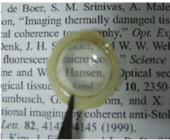 <p>Collagen fibrils thoroughout width of stroma stretch across the cornea and turn 90 degrees to form a circumferential annulus to maintain curvature. It is 1.0-2.5 mm wide</p>