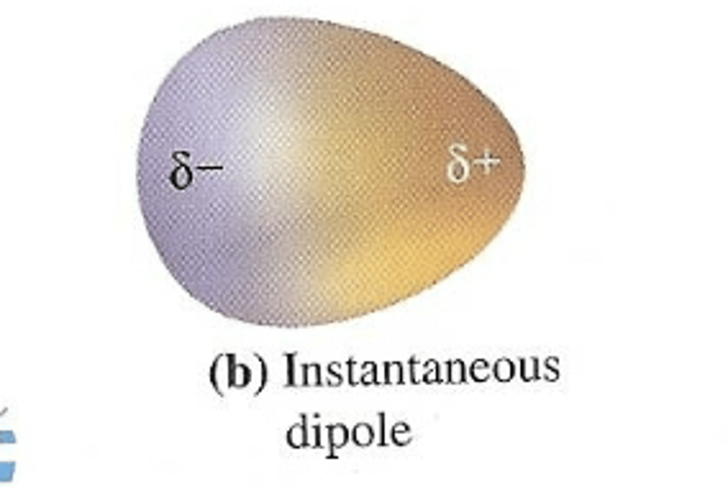 <p>a momentary lopsided electron cloud</p>