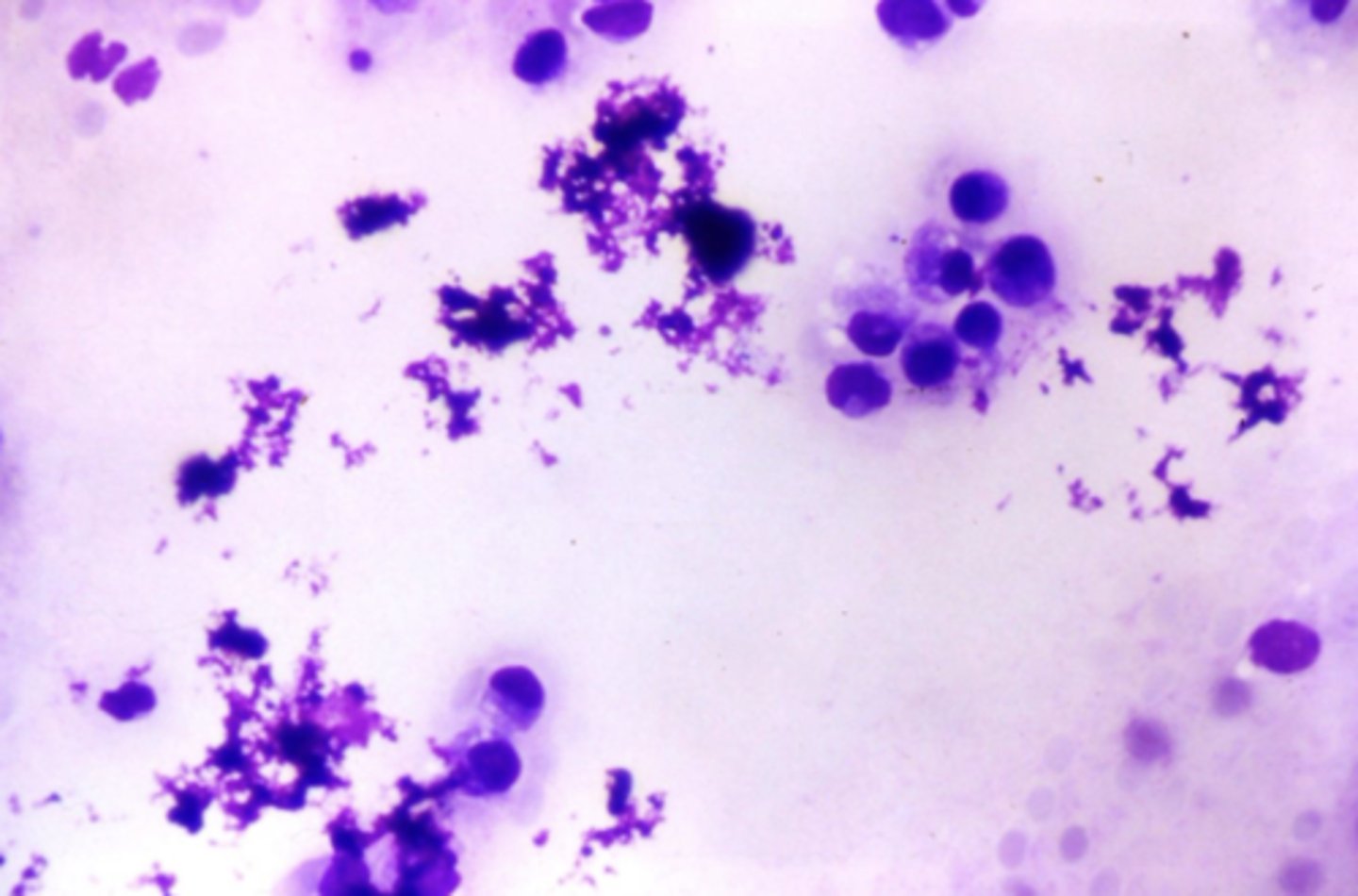 <p>What's wrong with this sample?</p>