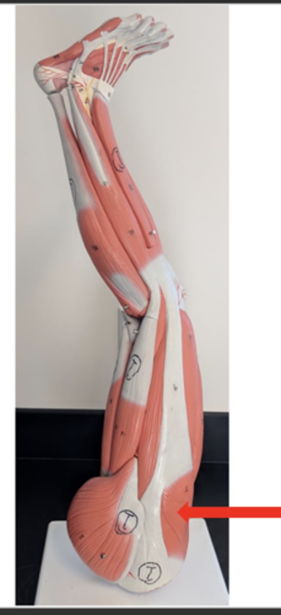 <p>what is this?</p>