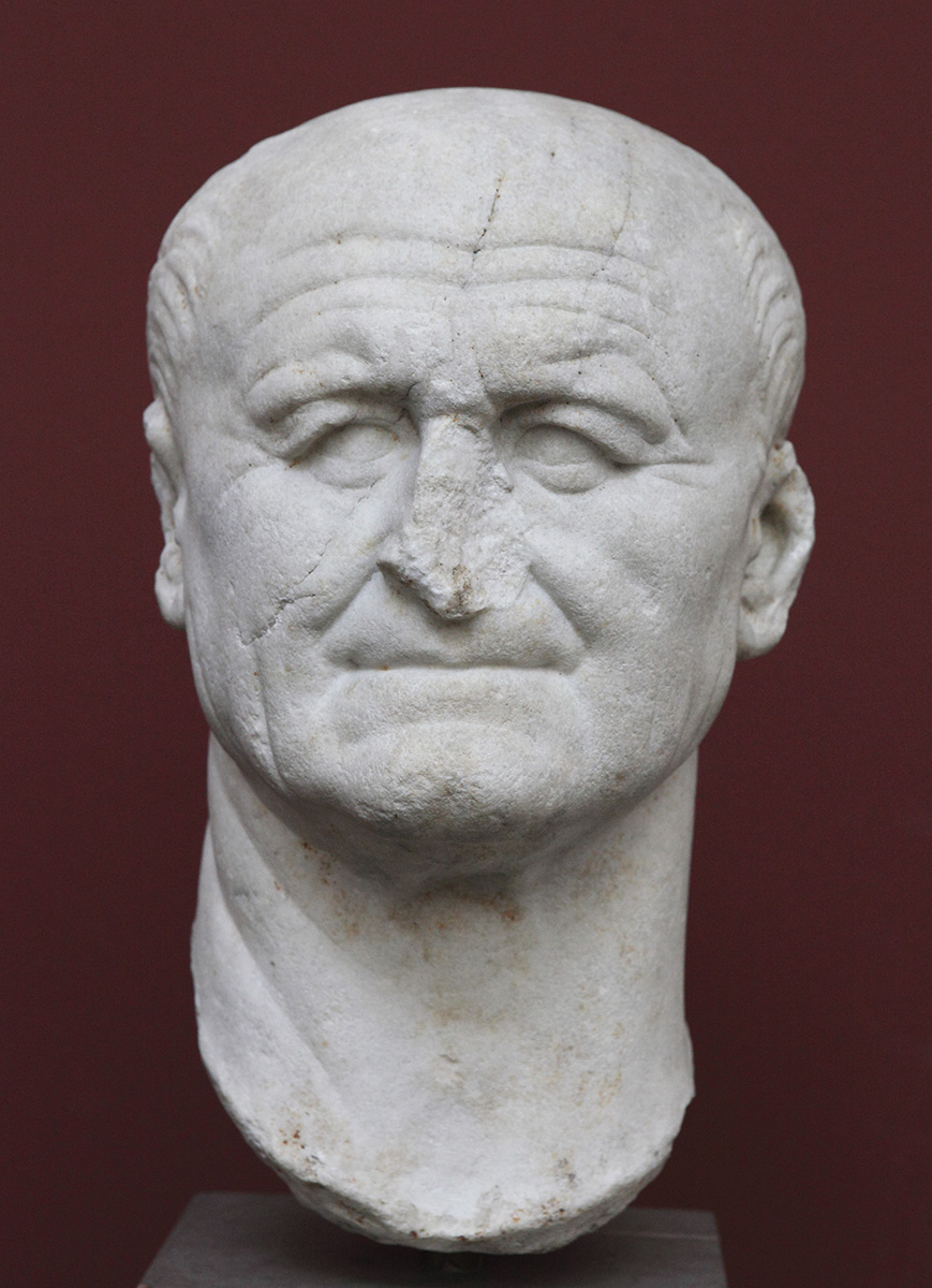 <p>portrait  of vespasian</p>