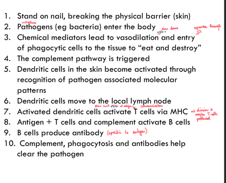 knowt flashcard image