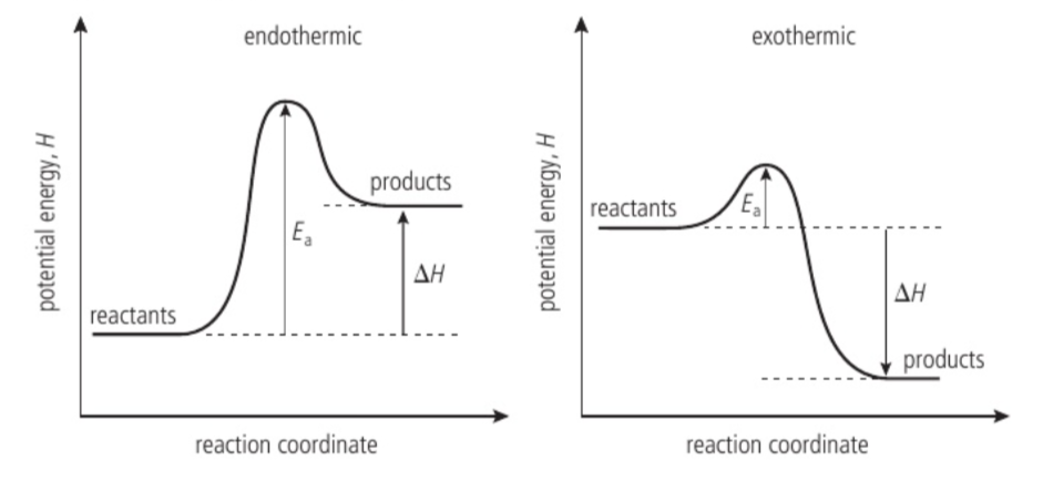 <p><span>a diagram showing the change in the potential energy (y-axis) of a system as a reaction proceeds (x-axis is the reaction coordinate)</span></p>