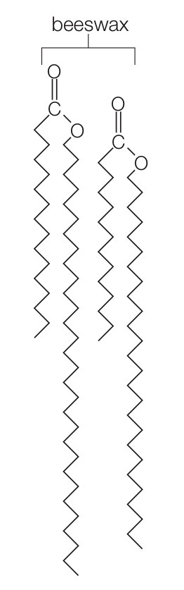 <p>A water-repellent substance that consists of a complex, varying mixture of lipids with long fatty acid tails bonded to long-chain alcohols.</p><p>Waxes are waterproof because they pack together very tightly.</p>
