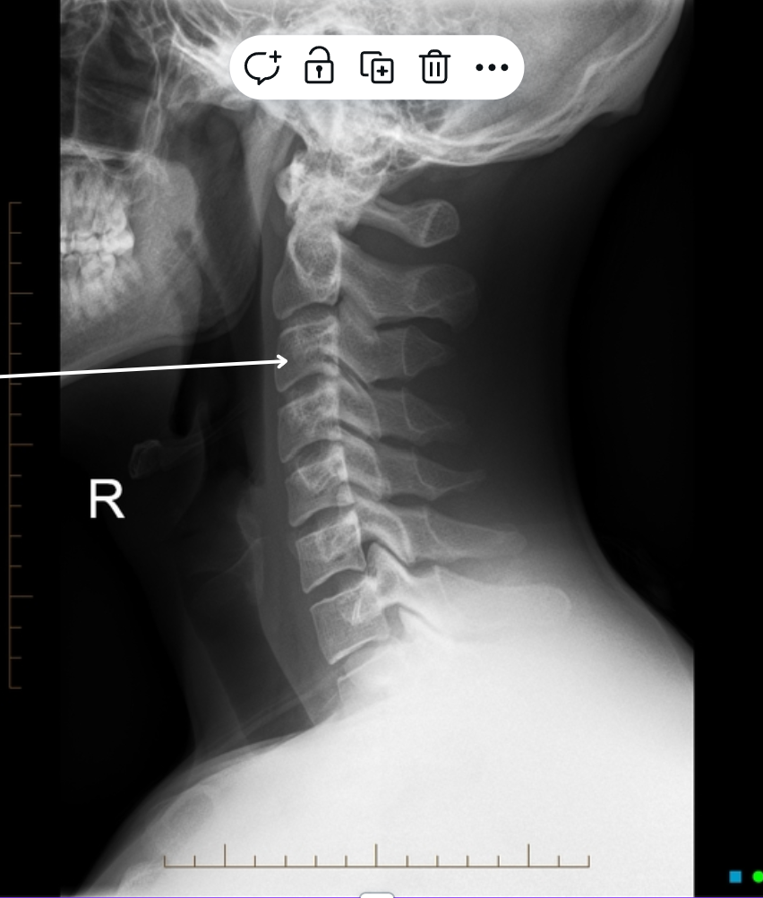 <p></p>