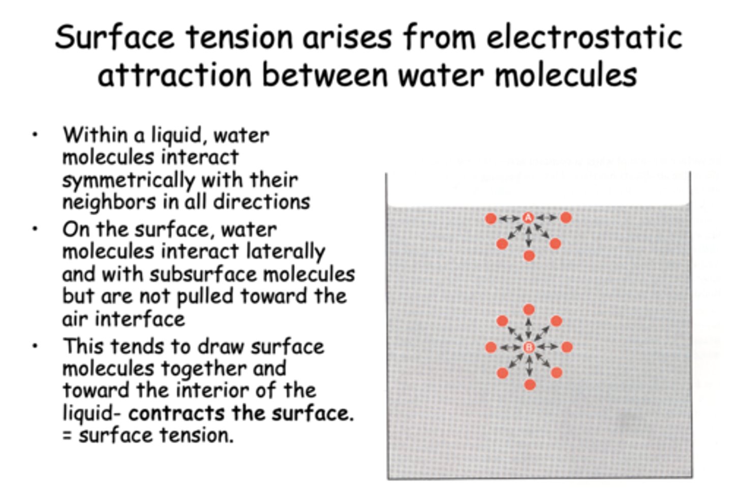 <p>Surface tension</p>