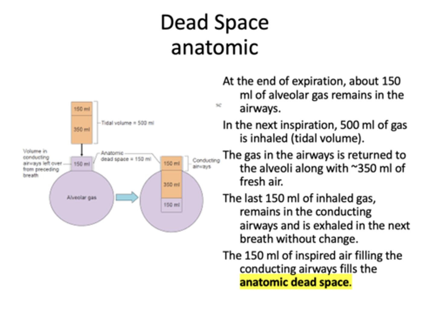 <p>anatomic</p>