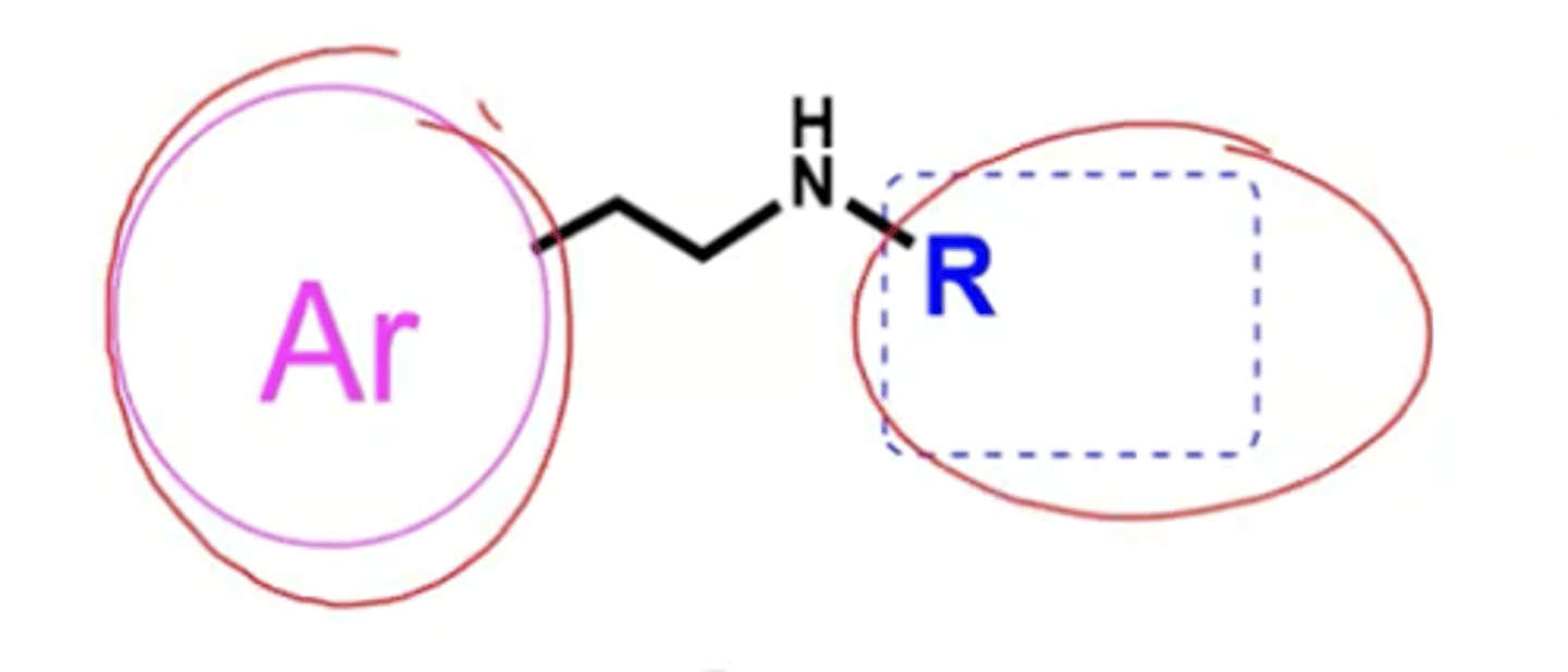 <p>aryl and bulky R groups</p>