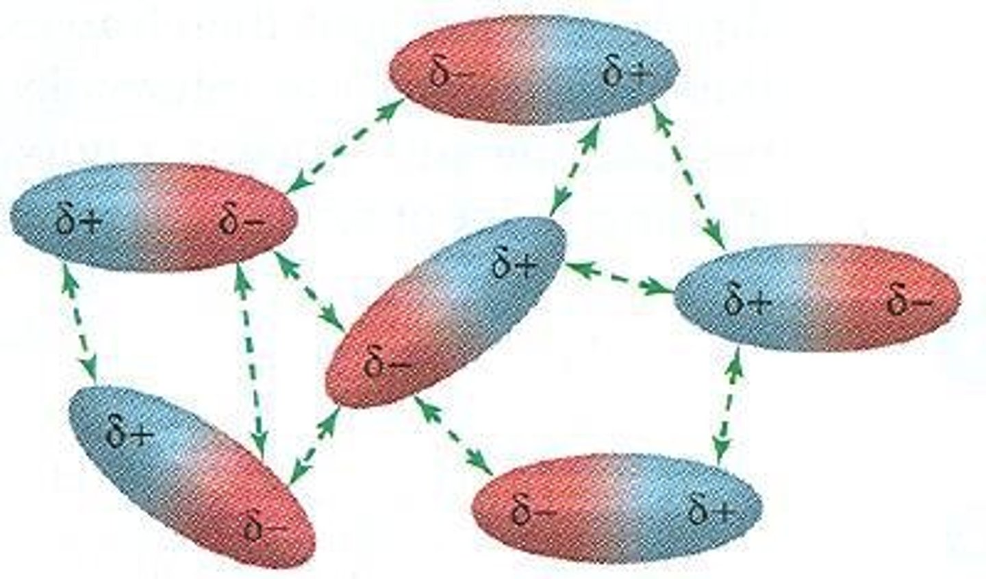 <p>Ion-dipole interactions, dipole-dipole interactions, hydrogen bonding, and London dispersion forces.</p>