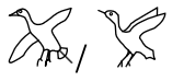 term image