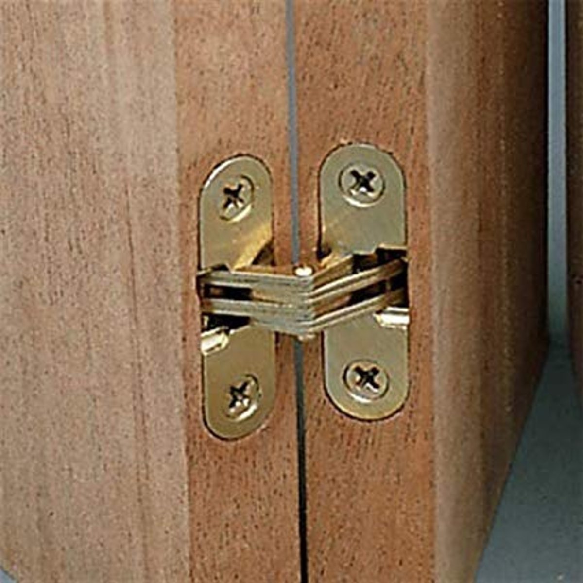 <p>A hinge consisting of a number of flat plates rotating about a central pin, with shoulders mortised into the door edge and doorframe so as to be concealed when closed</p>