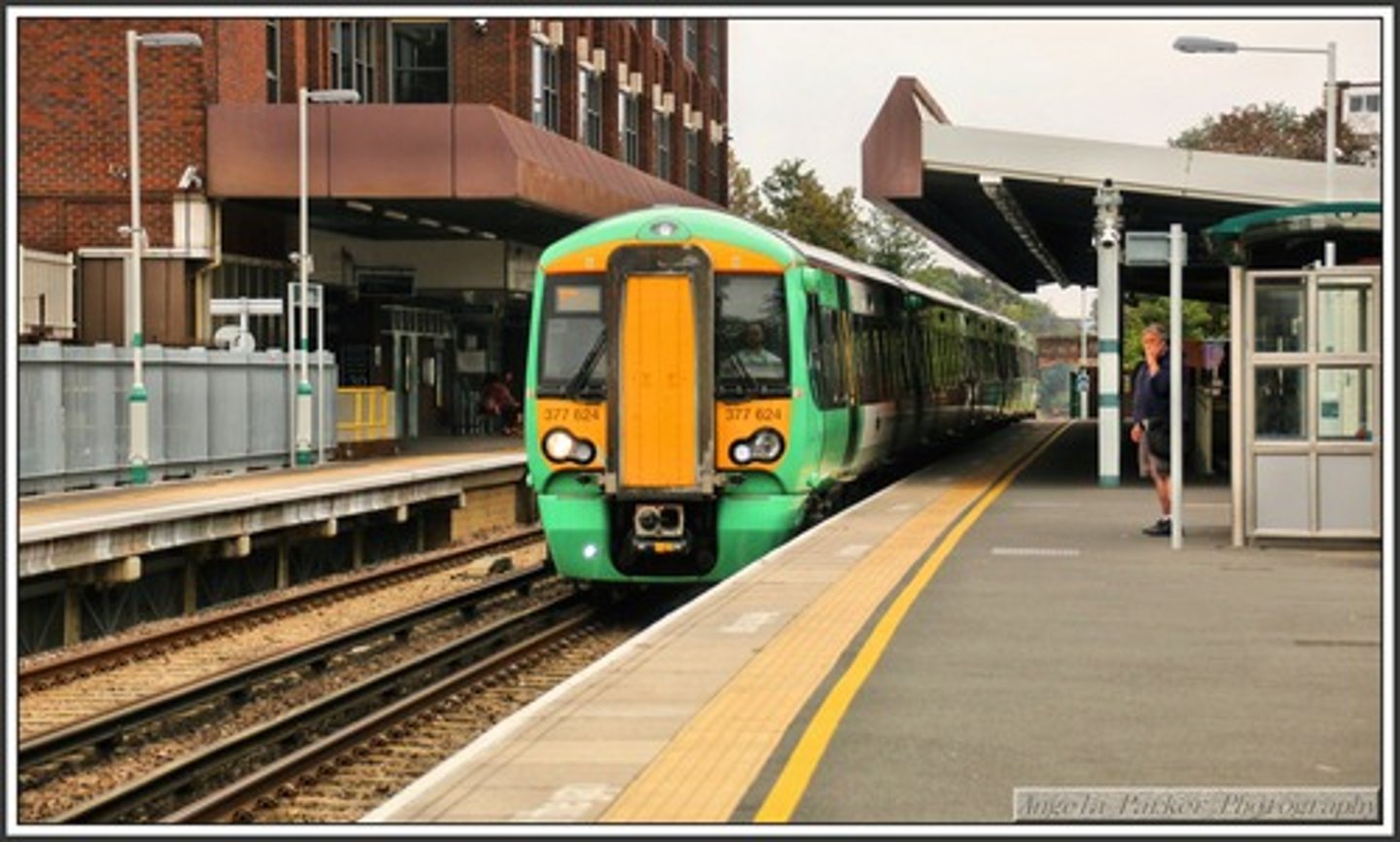 <p>platform, pier</p>