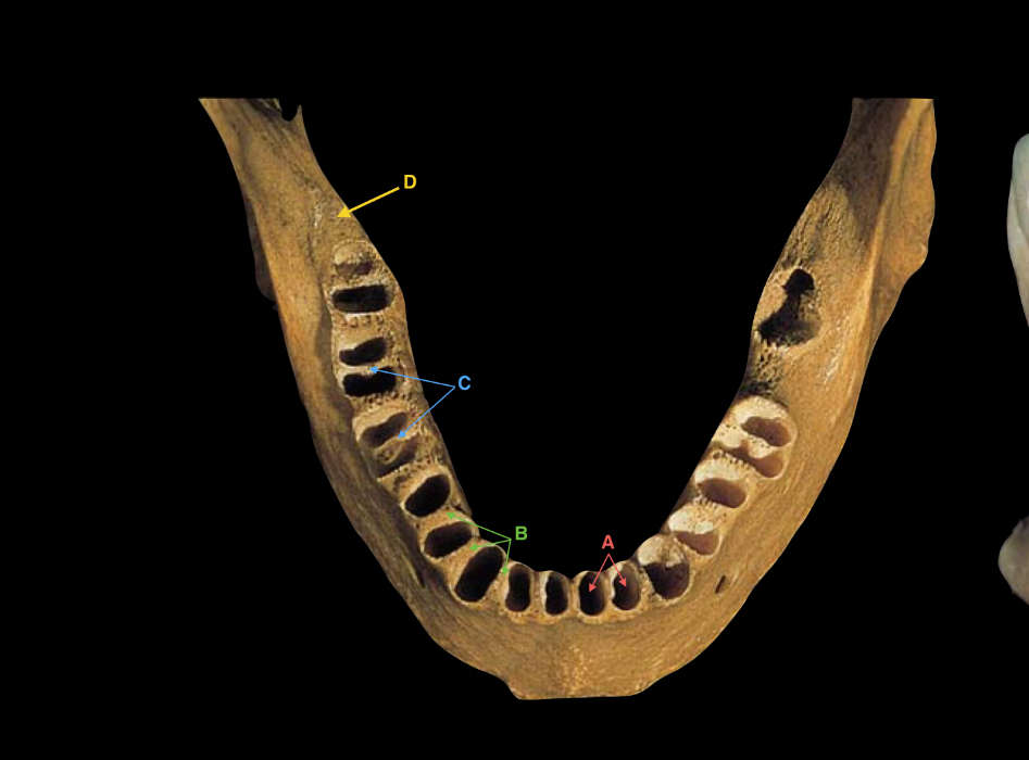<p>name the labelled parts of the diagram </p>
