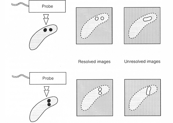 <p>If the resolution is poor, it will be difficult to differentiate between two separate structures which are small.</p>