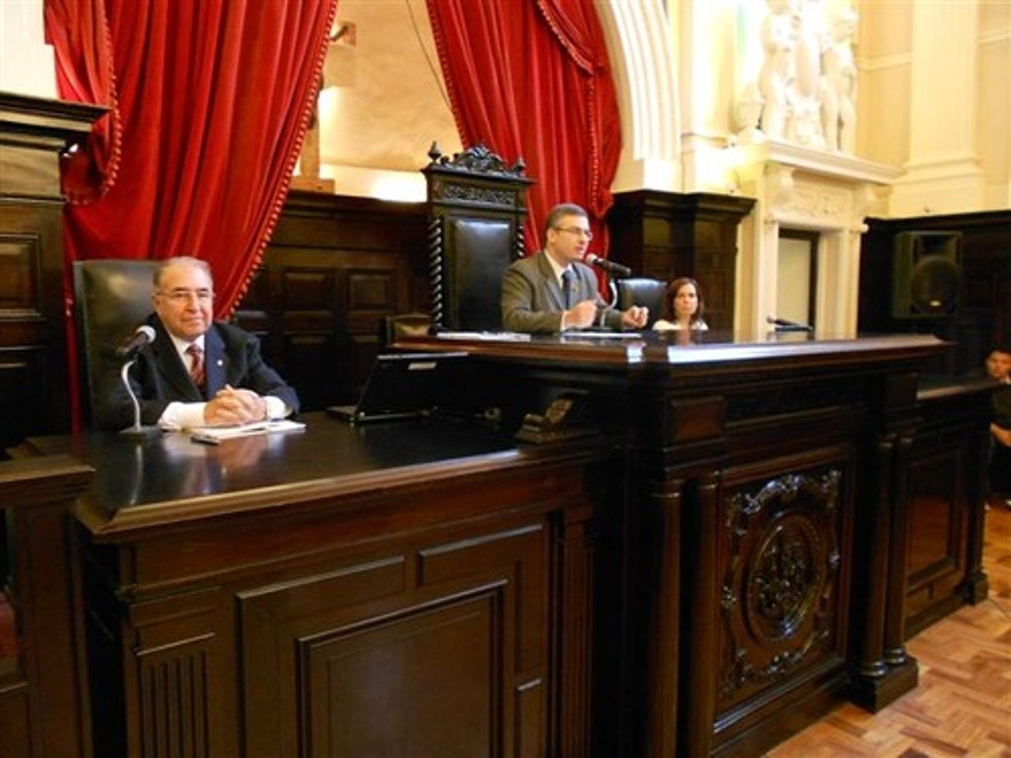 <p>constitutional court</p>