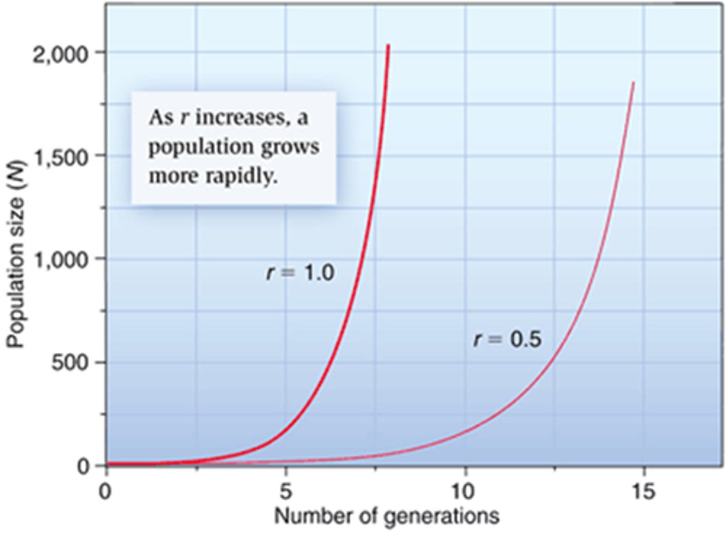 <p>Growth pattern in which the individuals in a population reproduce at a constant rate</p>