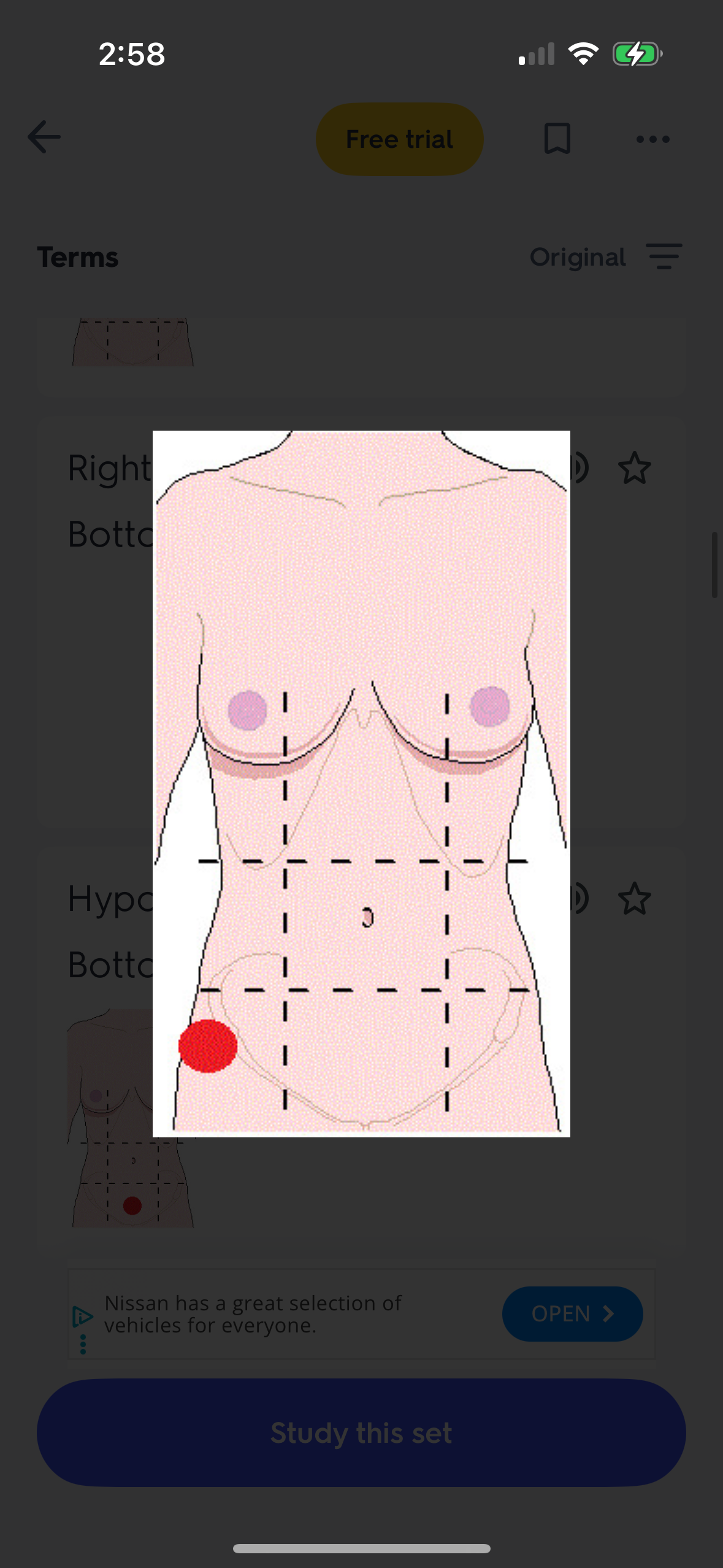 knowt flashcard image