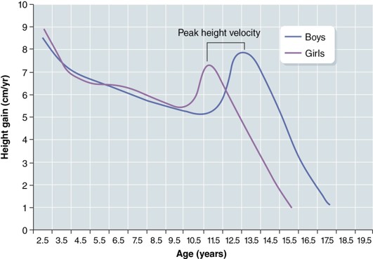 <ul><li><p>Distance curves = extent of growth</p></li><li><p>Velocity curves = rate of growth</p></li><li><p>Peaks on velocity curves show ages that growth rate changes </p></li></ul>
