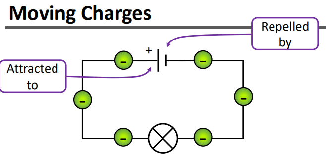 <p>Electrons are negative and so they move:</p><ul><li><p>from the ___________ end of the cell because like charges ______.</p></li><li><p>towards the _________ end of the cell because the opposite charges ________.</p></li></ul><p></p>