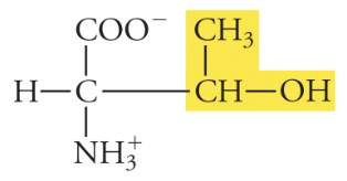 <p>Thr, T, Polar</p>