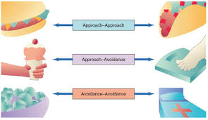 <p>situations where a person faces opposing drives or incentives, often leading to stress or difficult decision-making. </p>