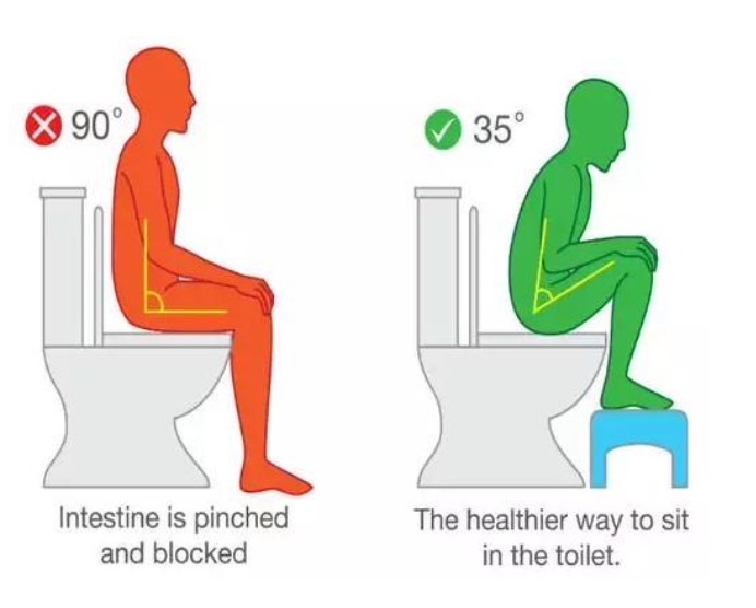 <ul><li><p>Distension relaxes the internal anal sphincter and signals an awareness of the need to defecate.</p></li><li><p>Defecation - the external sphincter relaxes and abdominal muscles contract to force the stool out.</p></li><li><p>Most effective position:</p><ul><li><p>Knees higher than hips.</p></li><li><p>Lean forward and put elbows on your knees.</p></li><li><p>Bulge out your abdomen and straighten your spine.</p></li></ul></li></ul><p></p>