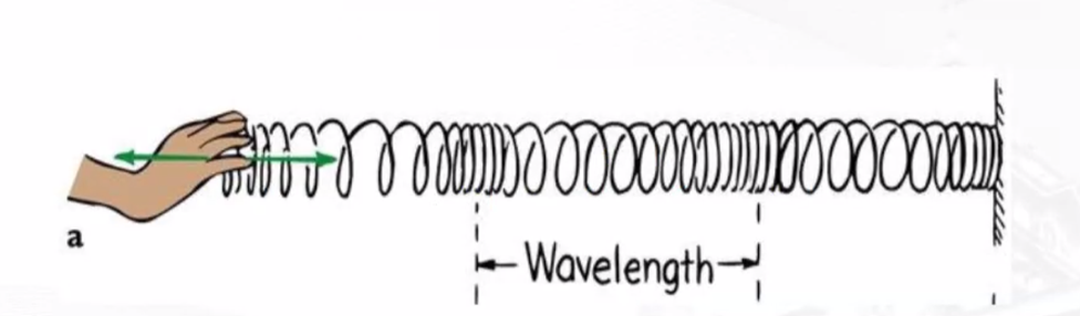 <p>The compression of the spring here represents the compression of —- or the —— in which the sound travels</p>
