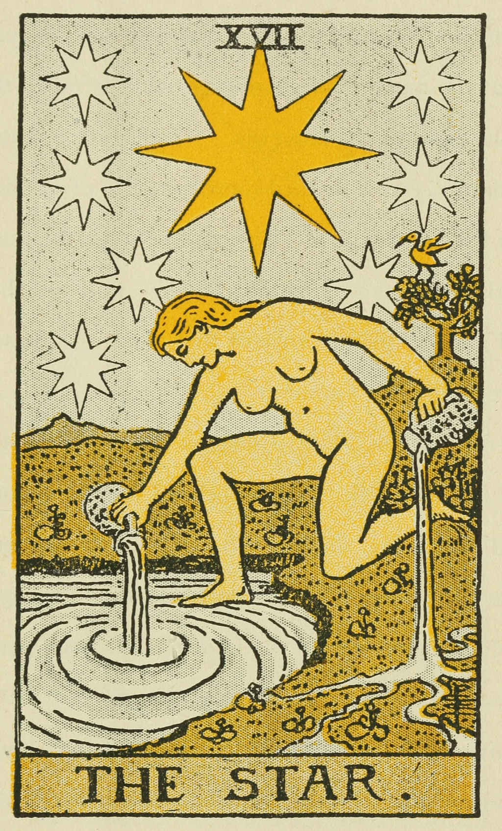 <ol start="17">
<li>The Star</li>
</ol>