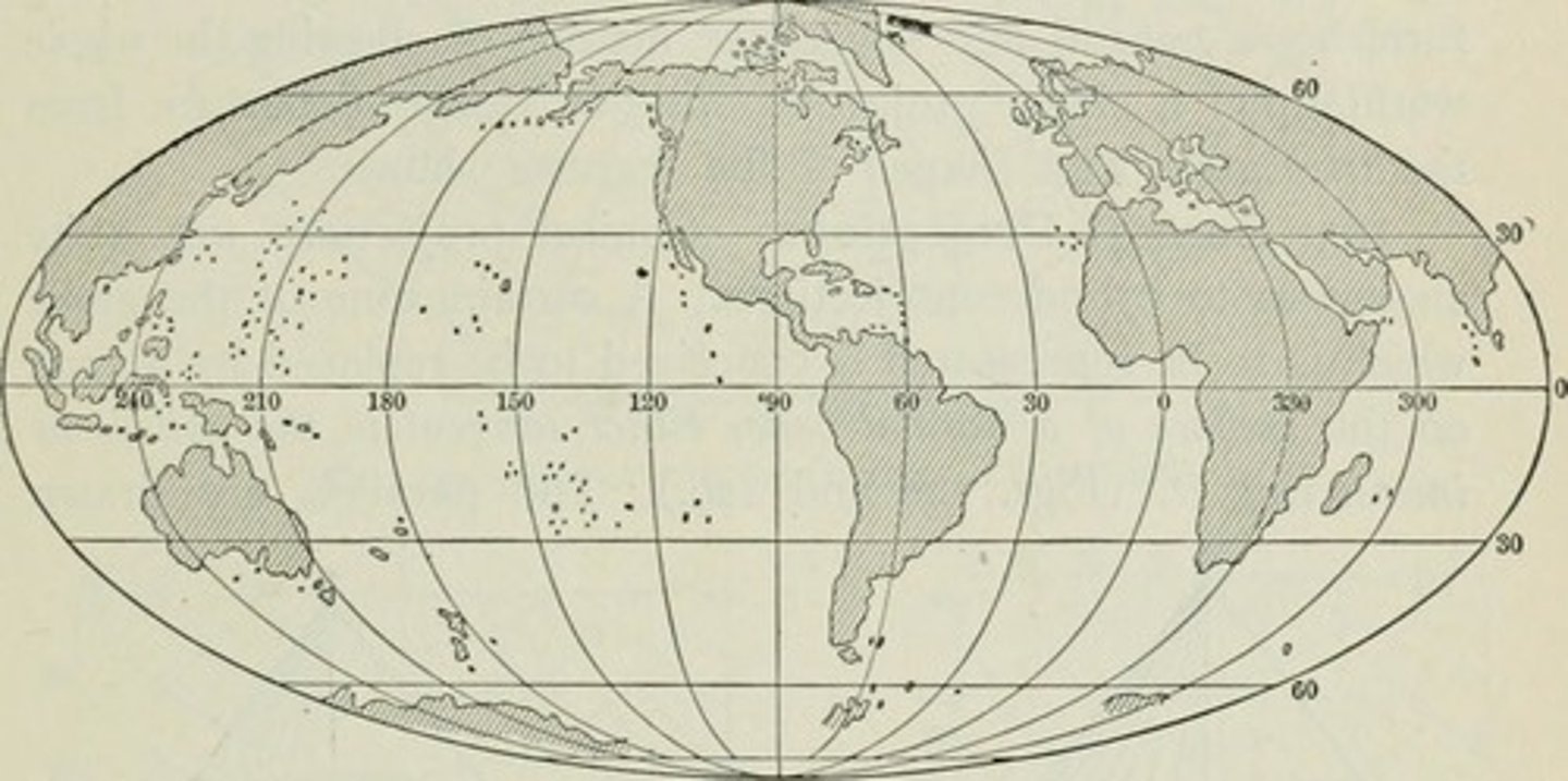 <p>An imaginary circle around the middle of the earth, halfway between the North Pole and the South Pole</p>