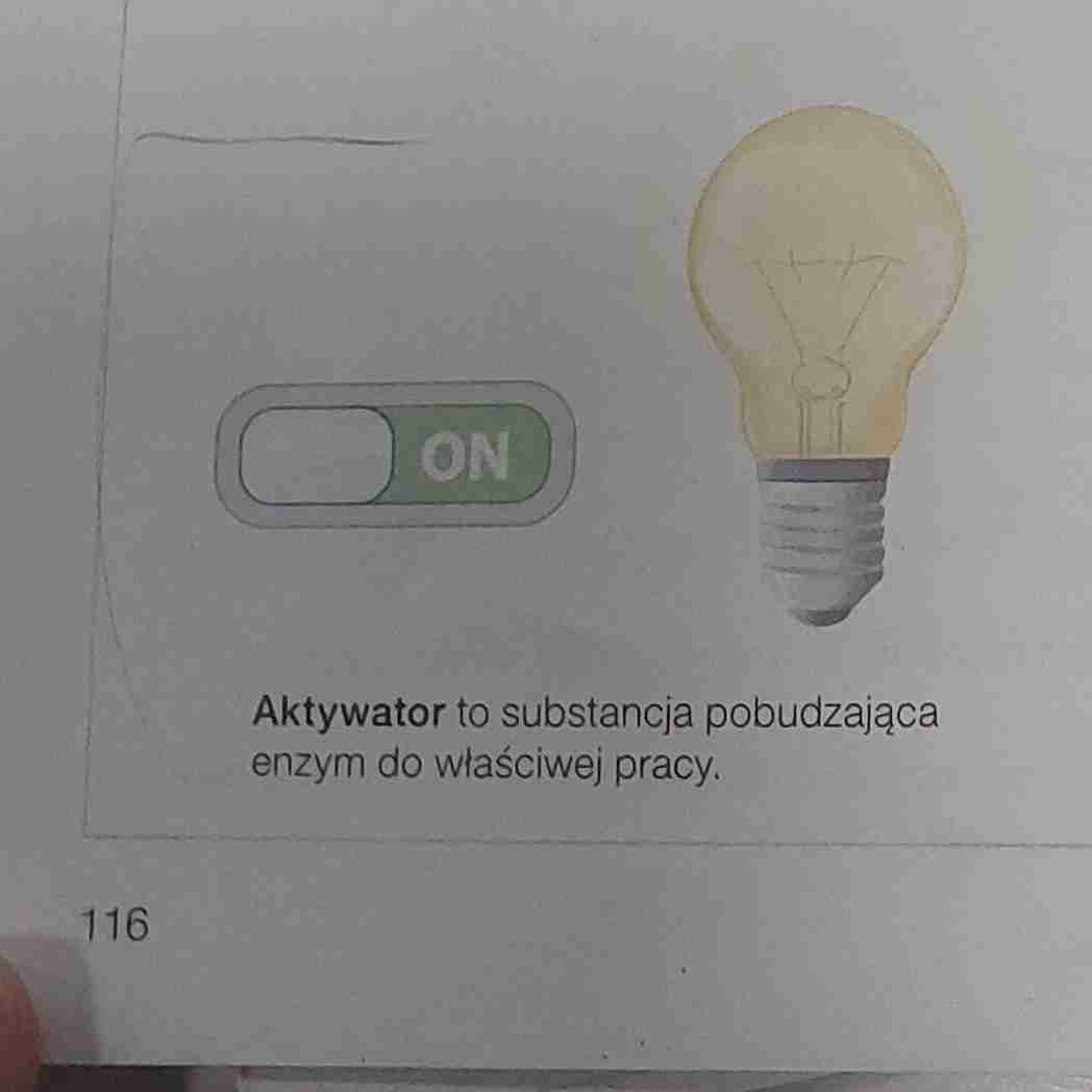 <p>Pobudza enzym do właściwej pracy</p><p>Np. Jony metali, inne enzymy</p>