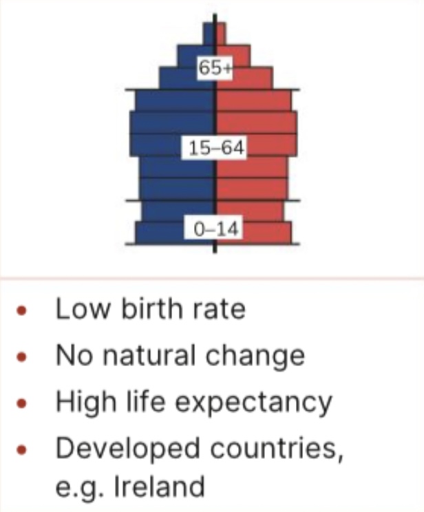 <p>What type of population pyramid is this</p>