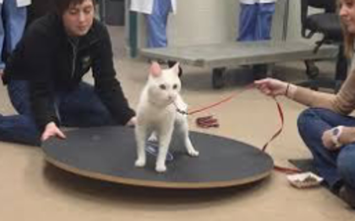 <p>What kind of therapeutic model uses structured programs to restore neuromuscular strength, function, and control using passive range of motion, balancing tests, underwater treadmill, and gait retraining?</p>