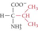 <p>Val, V</p><ul><li><p>nonpolar</p></li></ul><p></p>