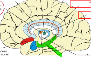 <p>highlighted in green</p>
