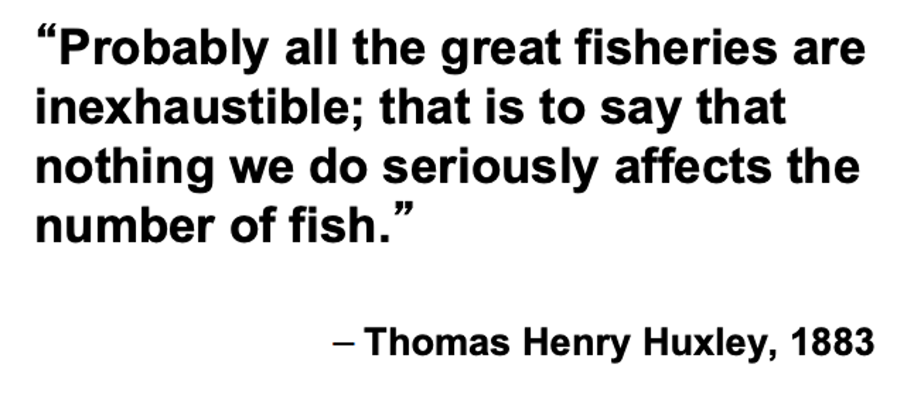 **Prevailing mental model: Unlimited abundance**

\
**The idea that fish is inexhaustible, but its not true**

\
\

