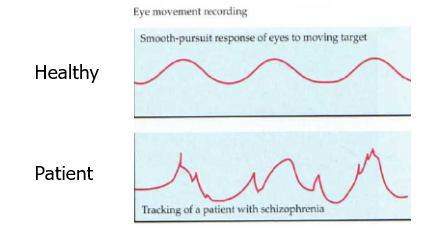 <ul><li><p>smooth pursuit - tracking a moving stimulus </p></li><li><p>the eye movements of schizophrenia patients are not smooth compared to controls</p></li></ul>