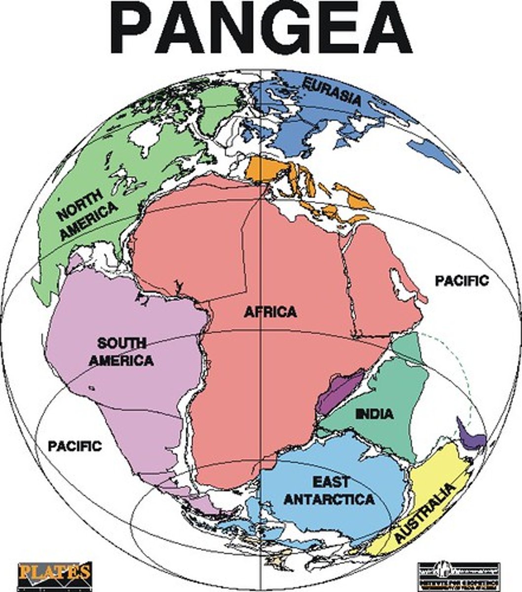 <p>-The similarity in outline of the coastlines of eastern South America and West Africa has been noted for some time.</p><p>-This is matched at a depth of 1,000 meters below current sea level.</p>