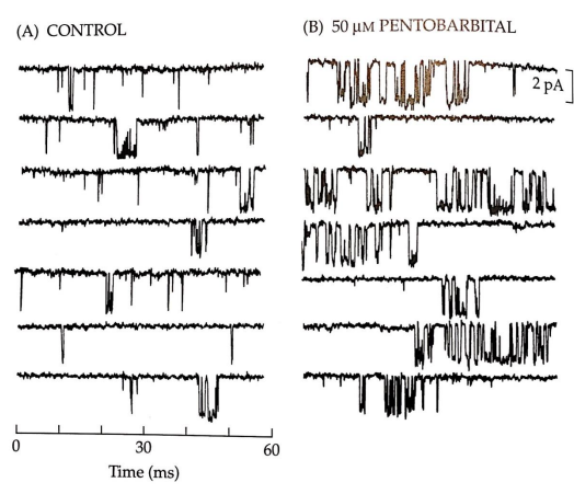 <p>what do these graphs show?</p>