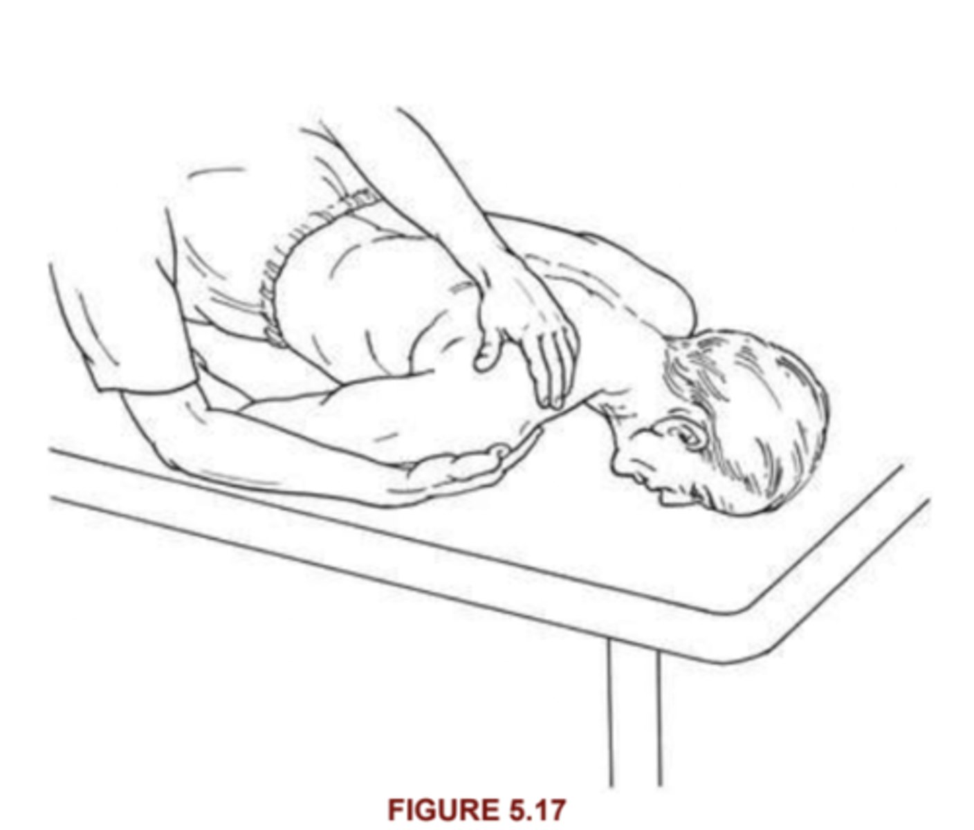 <p>Upper Trap, Levator Scap, rhomboid (M/m)</p><p>prone: head can be turned away, support test shoulder in palm of one hand, other palpate upper trap near insertion above clav</p><p>Instruction: </p><p>2/5: pt completes full rom in gravity-minimized</p><p>1/5: upper trap can be palpated at clavicle or neck, if felt</p><p>5/5: hold against max resistance</p>